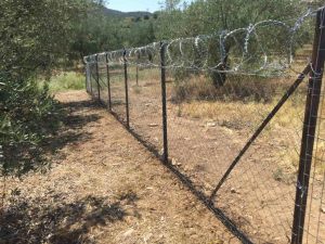 <span  class="uc-style-33232770655" style="color:#ffffff;">konsertina02</span>